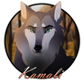 HotL:. Kamali| Medallion