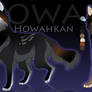 WoLF:. Spring Opening Adoptables 1- On Hold