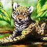 Jaguar puppy :3