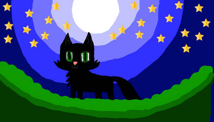 Hollyleaf