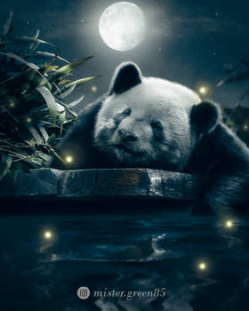 Moon-lit Panda 2