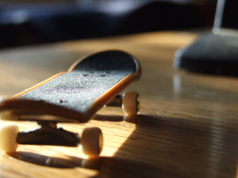 Fingerboard 2