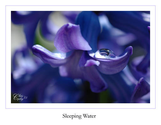 Sleeping Water