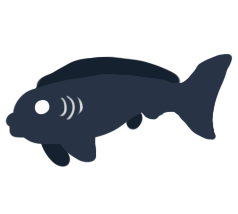 fish bigshadow