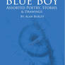 Blue Boy Cover