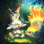 Quilava and Scorbunny