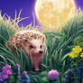 The Moonlit Meadow