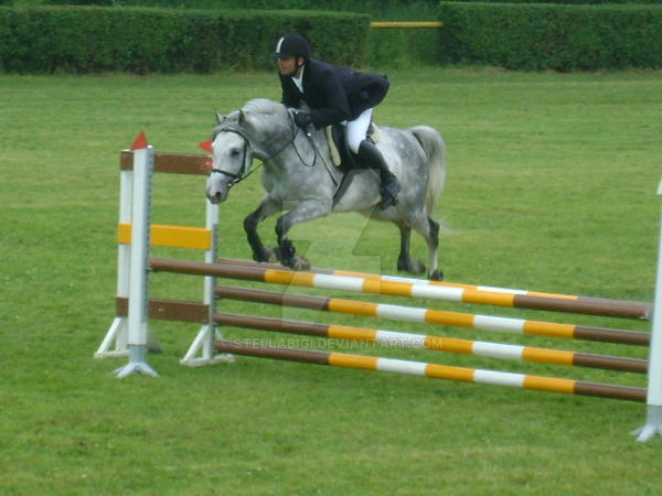 2013 MOSONMAGYAROVAR Show Jumping (Hungary) 6