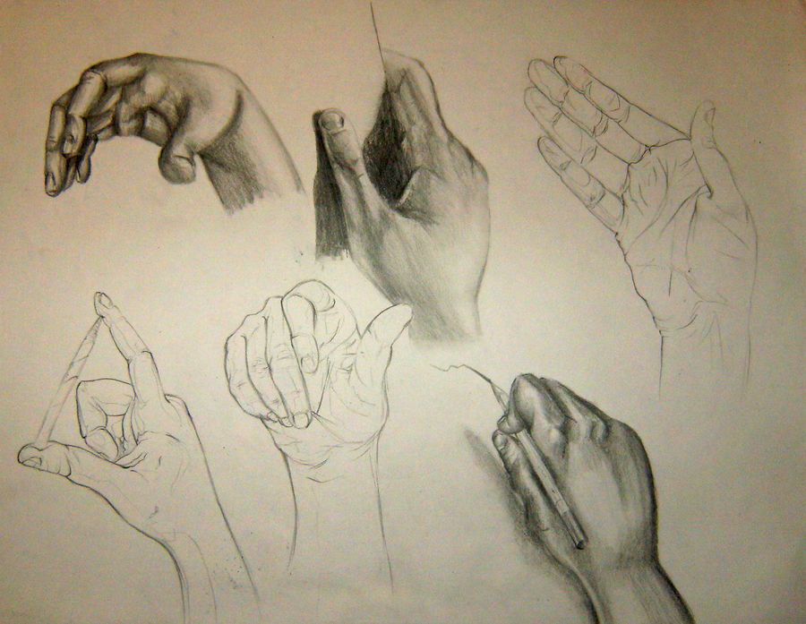 Hand Drawn Example Hand Study by LynnTV on DeviantArt
