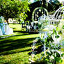 Wedding garden