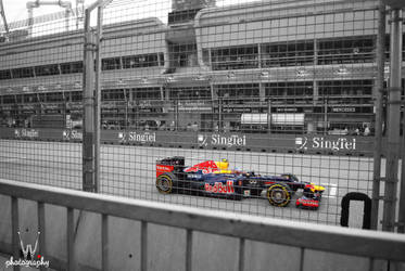 Redbull at F1