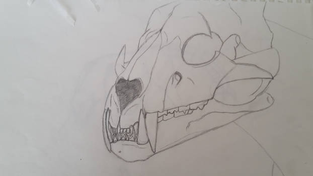 Skull practice