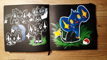 Black Sketchbook Spread: SHINX