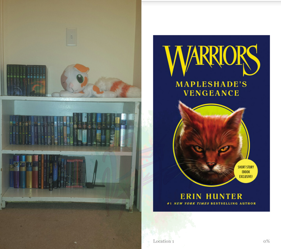 Warrior Cats Books — Books2Door