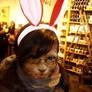 Bunny Likes Shopping
