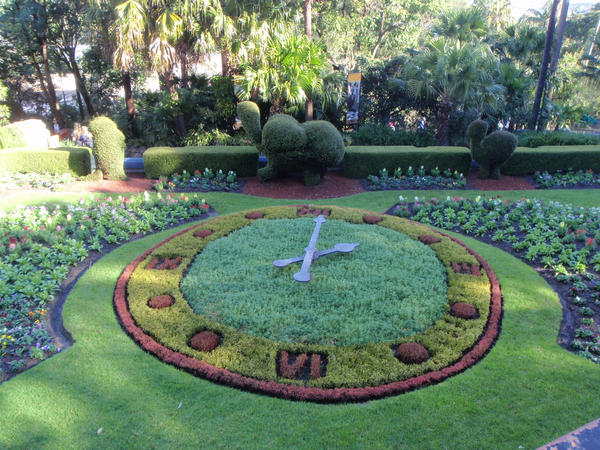 2pm on the plant clock