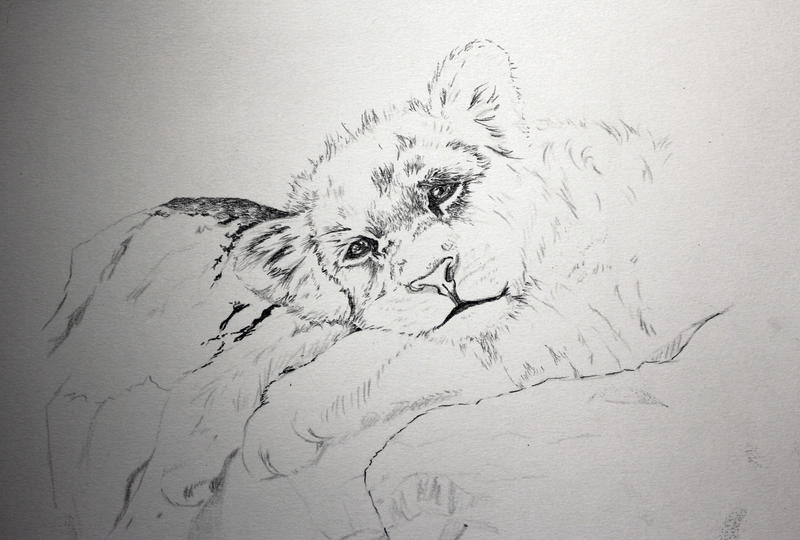 lionbaby wip1