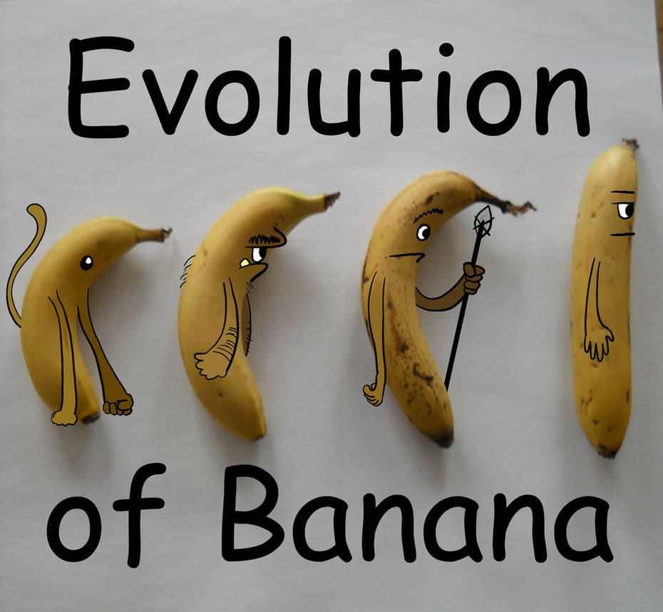 Banana Evolution Visual Evolution of Banana by Igneska on DeviantArt