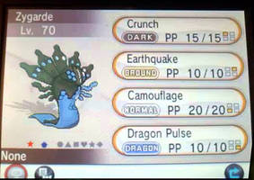 SHINY ZYGARDE