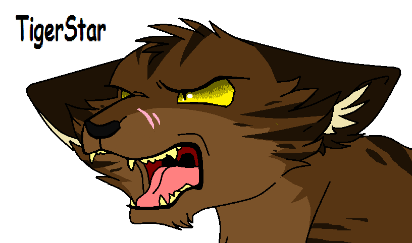 TigerStar