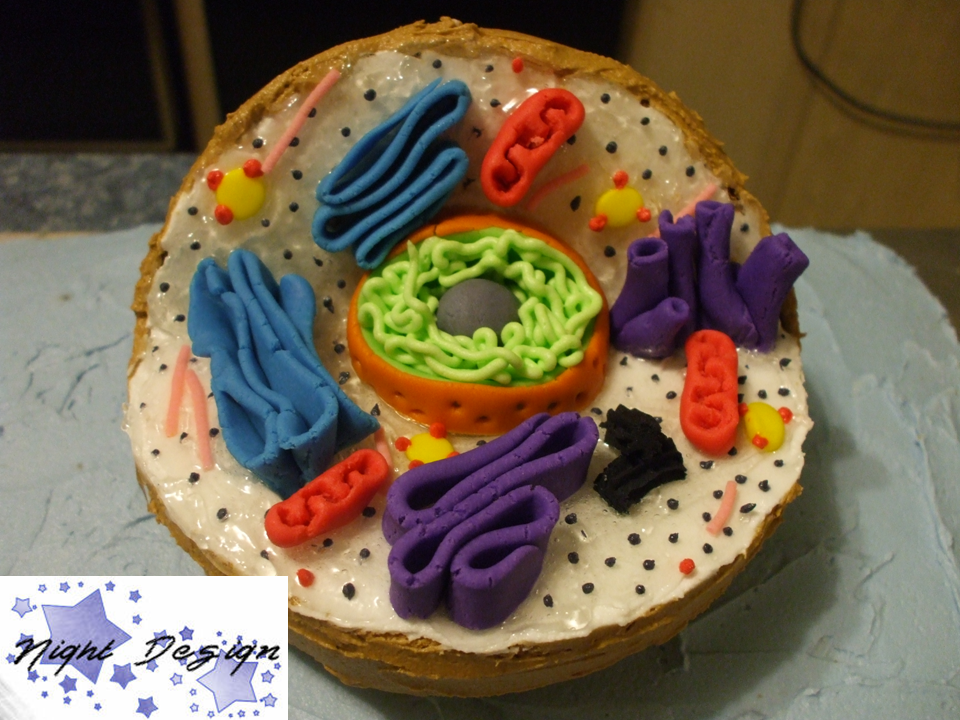 Animal Cell: a cake project by NightsDarkness on DeviantArt