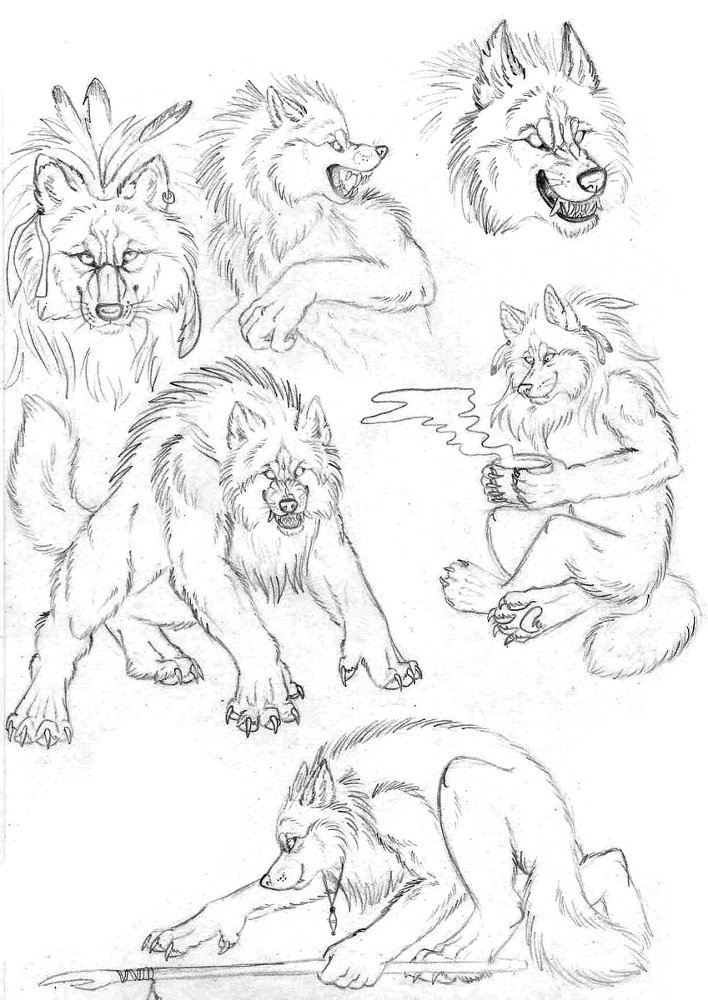 Werewolf sketches