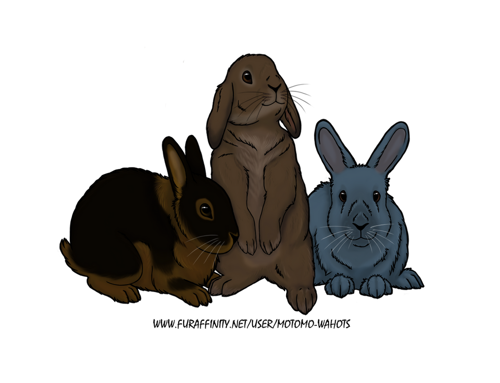 Bunnies