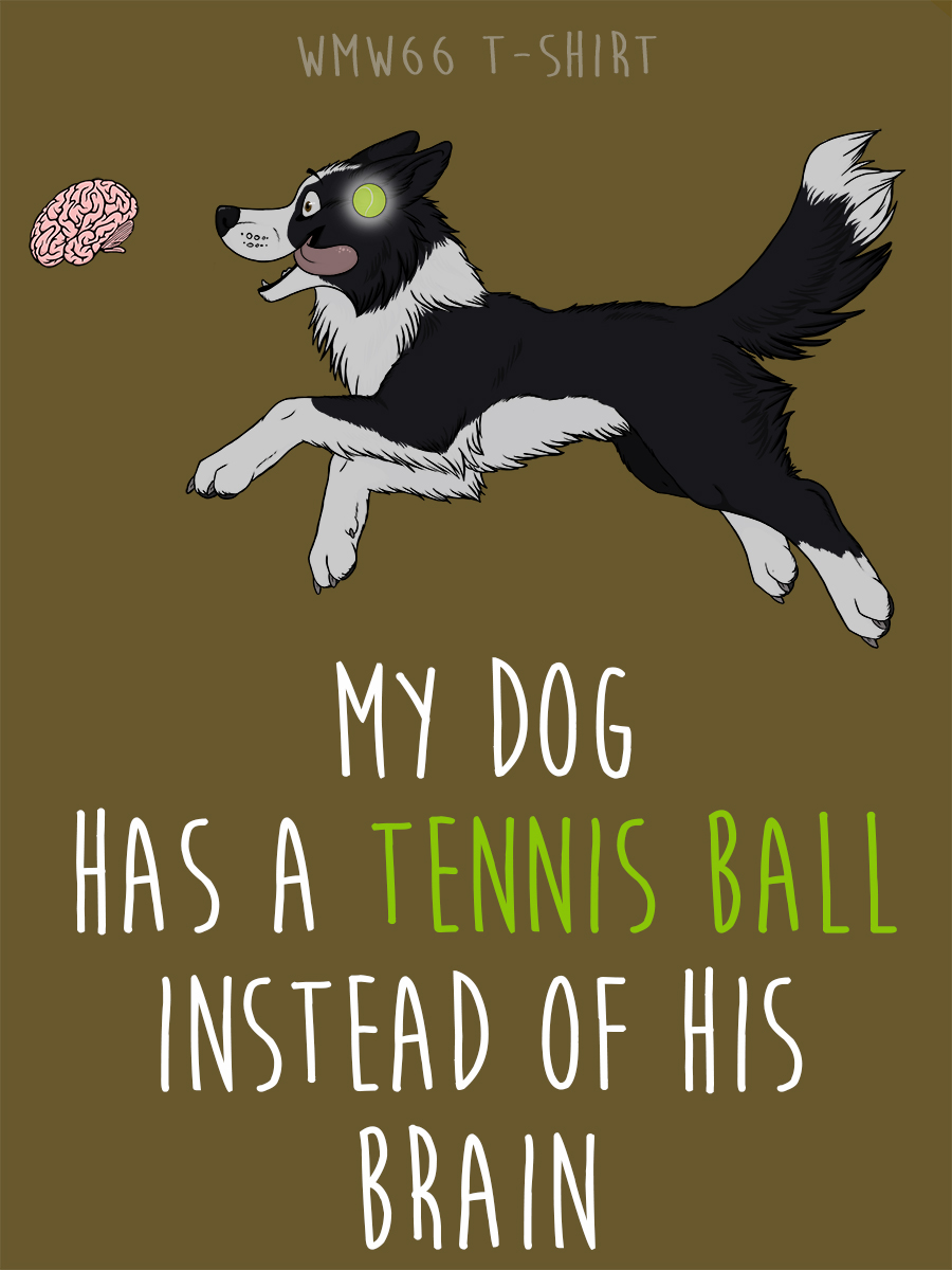 Tennis ball - border collie