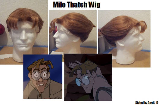 Commission: Milo Thatch Wig