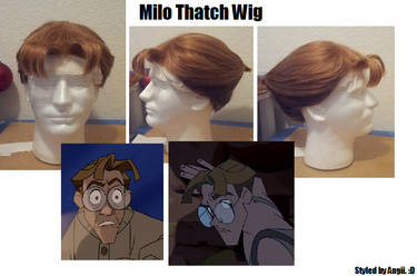 Commission: Milo Thatch Wig