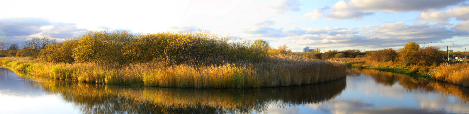 Amager panorama