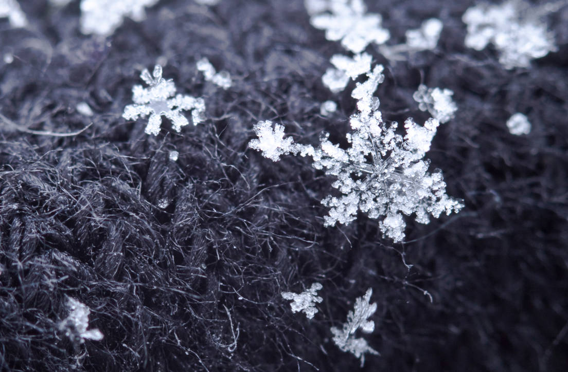 Snow flake by Bozack