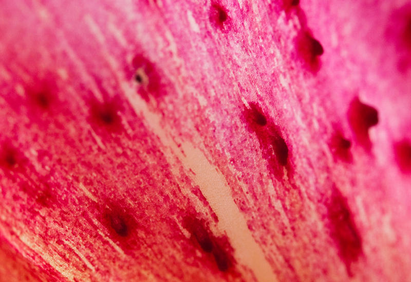 Lily pink 7