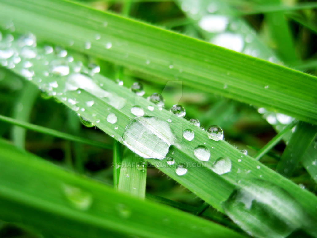 Dropy by CHAFRA on DeviantArt