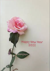 Happy New Year 2022