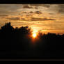 Sunset through the trees