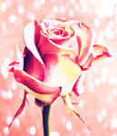 I know you tried.. by sunshine911