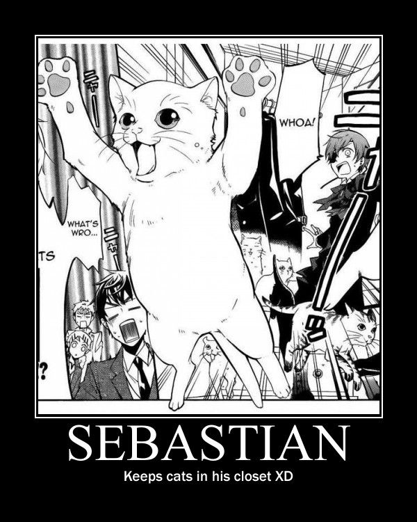 Sebastian and cats