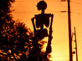 Plastic Bones n Pumpkin Skies