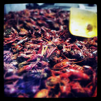 Crawfish!