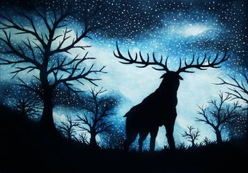 Midnight Deer