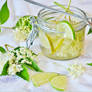 Fresh Lime and Elderflower Cordial