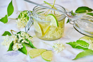 Fresh Lime and Elderflower Cordial by AHealthMatter Fresh Lime and Elderflower Cordial by AHealthMatter