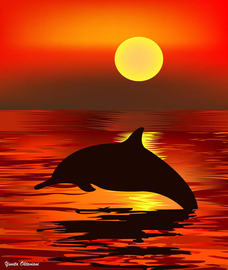 Dolphin