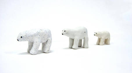 Polar Bears