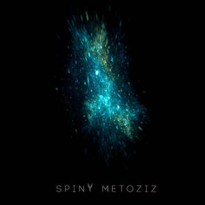 Spiny - Metoziz (MNMN Records)