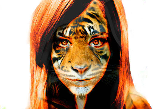 Animal-Human morph by aw4foxache on DeviantArt