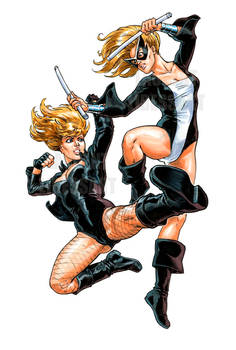 Black-Canary Mocking-Bird Laurent-Libessart