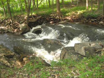 Beautiful Waterfall