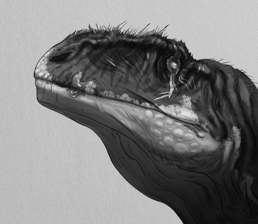 Metrisaurus Drawing Metriacanthosaurus by Thek560 on DeviantArt